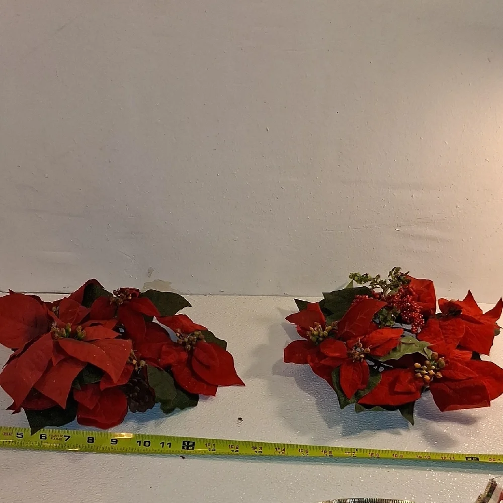 Festive Red Poinsettia Holiday Foliage 2